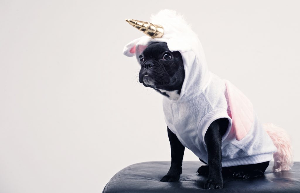 Learning Styles and Unicorns